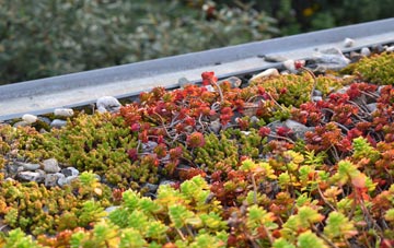 the cost of Aberavon green roof installation