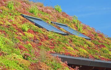Aberavon living roof systems