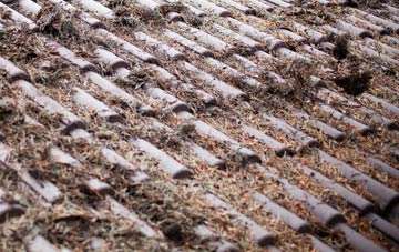 Aberavon roof cleaning companies