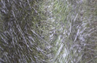 Aberavon fibreglass roof work