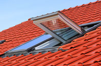 Aberavon roof window